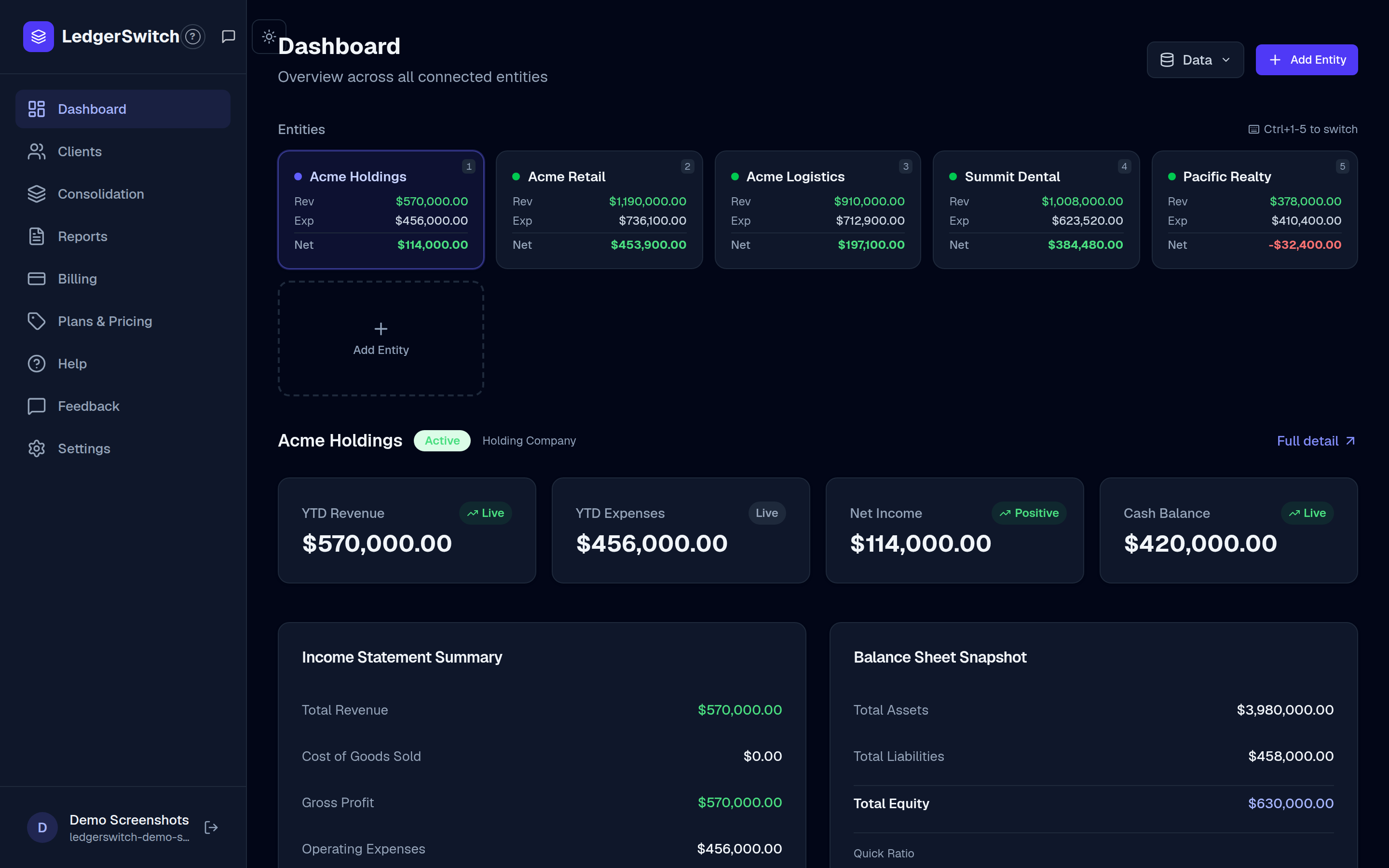 The LedgerSwitch dashboard with entity cards, metric cards, and summaries