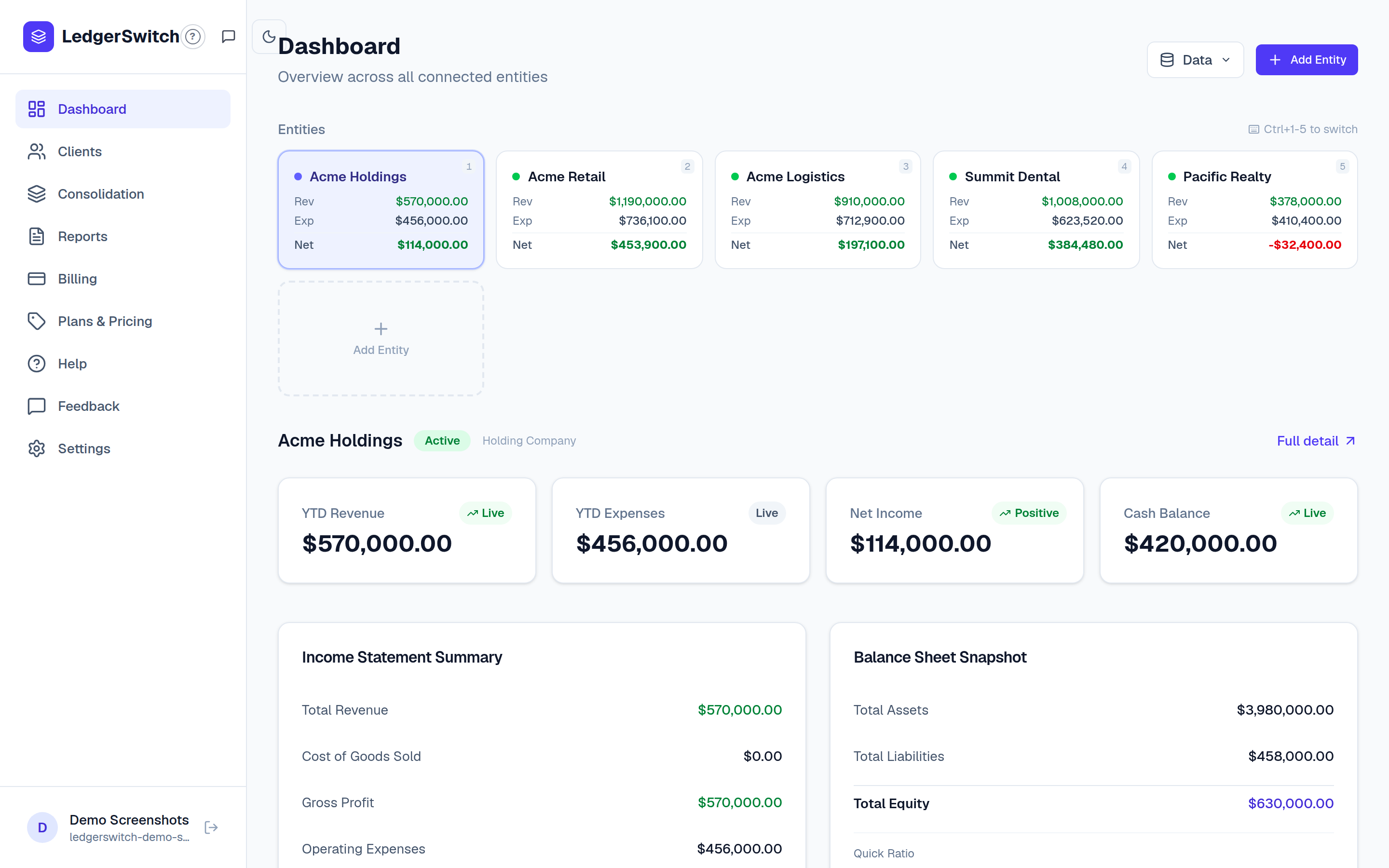 The LedgerSwitch dashboard with entity cards, metric cards, and summaries