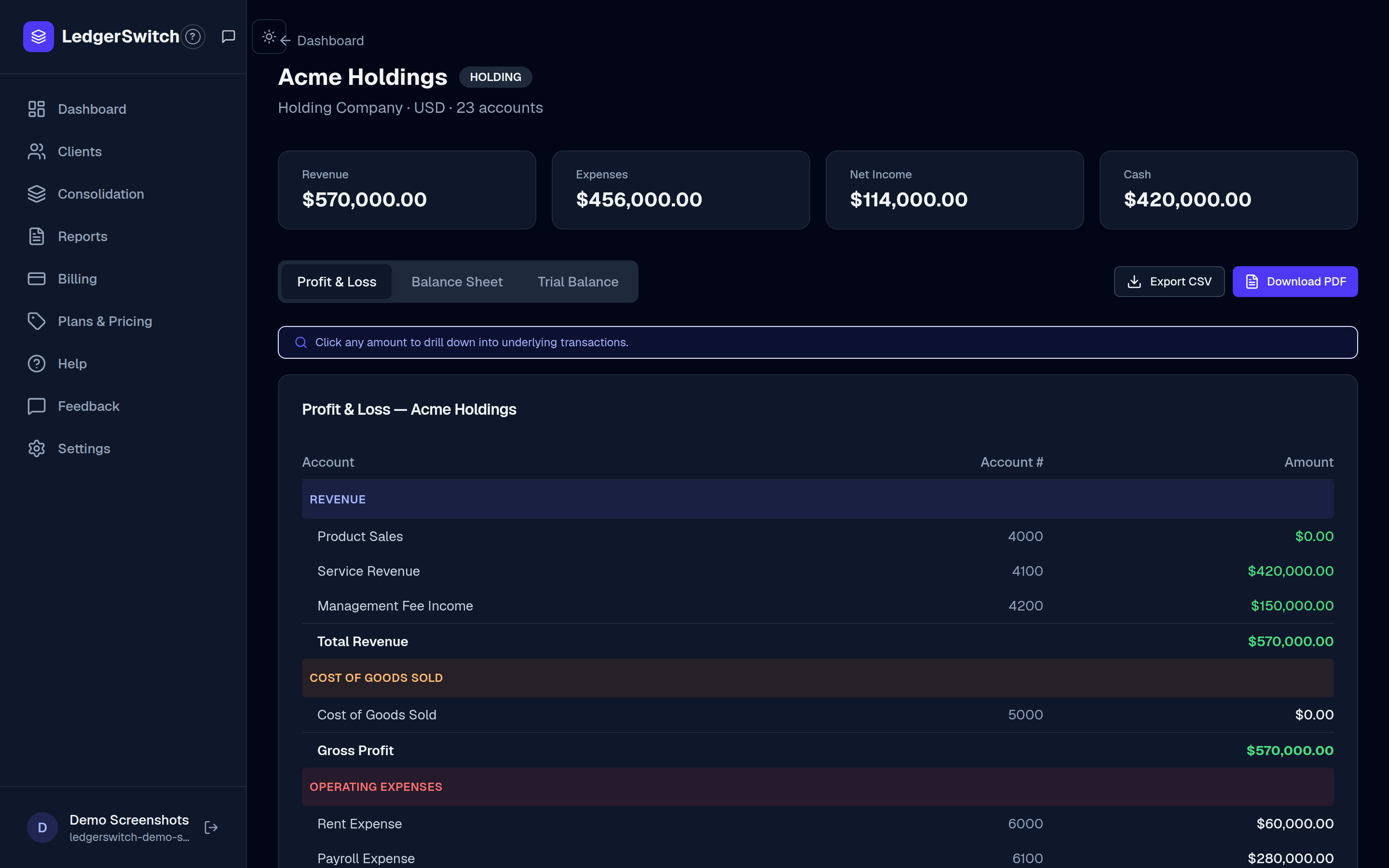 Entity detail page with Profit and Loss, Balance Sheet and Trial Balance tabs