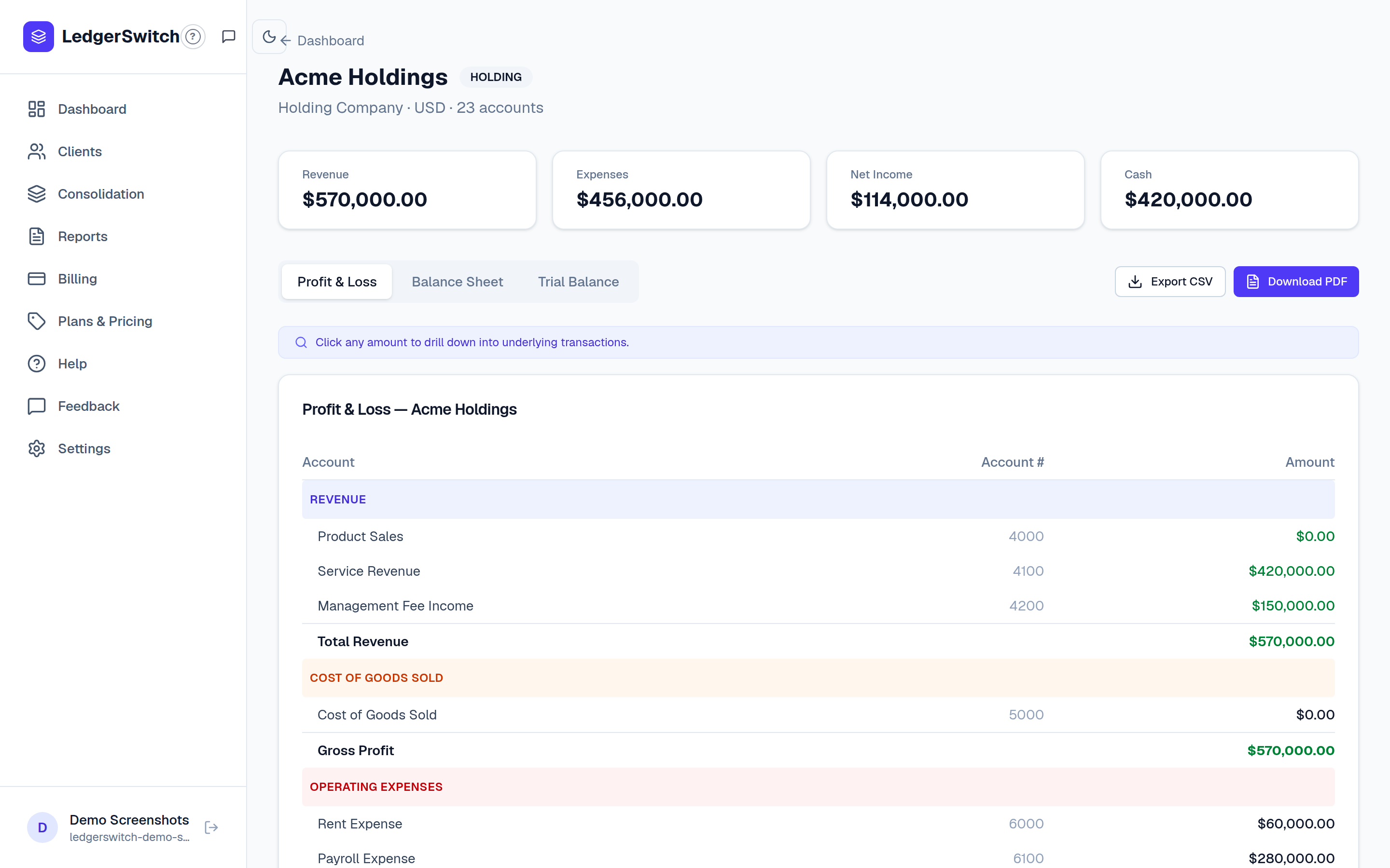 Entity detail page with Profit and Loss, Balance Sheet and Trial Balance tabs